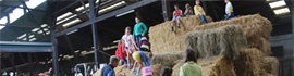 Ferienprogramm-Ein+Tag+am+Bauernhof+(Fam.+Konrad)+%5b012%5d